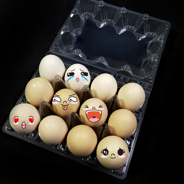鸡蛋托销售